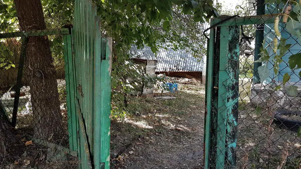 Дача в чаще, фото 3