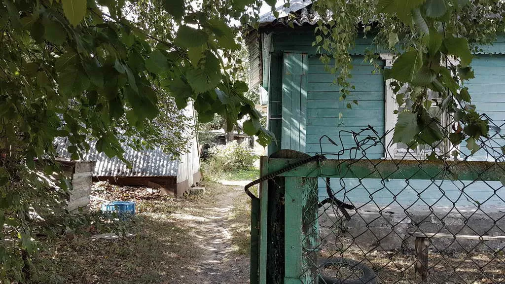 Дача в чаще, фото 4