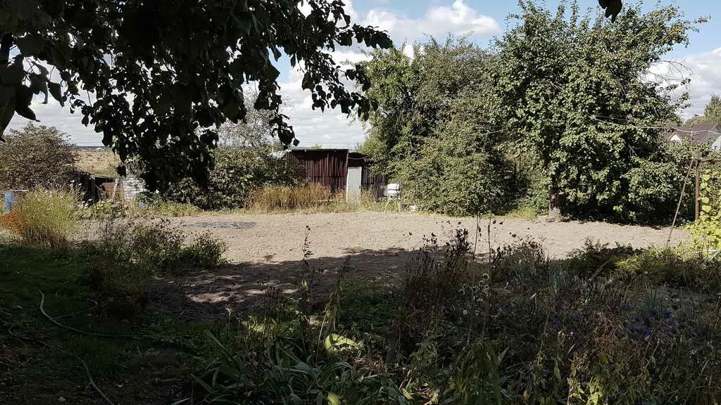 Дача в чаще, фото 12