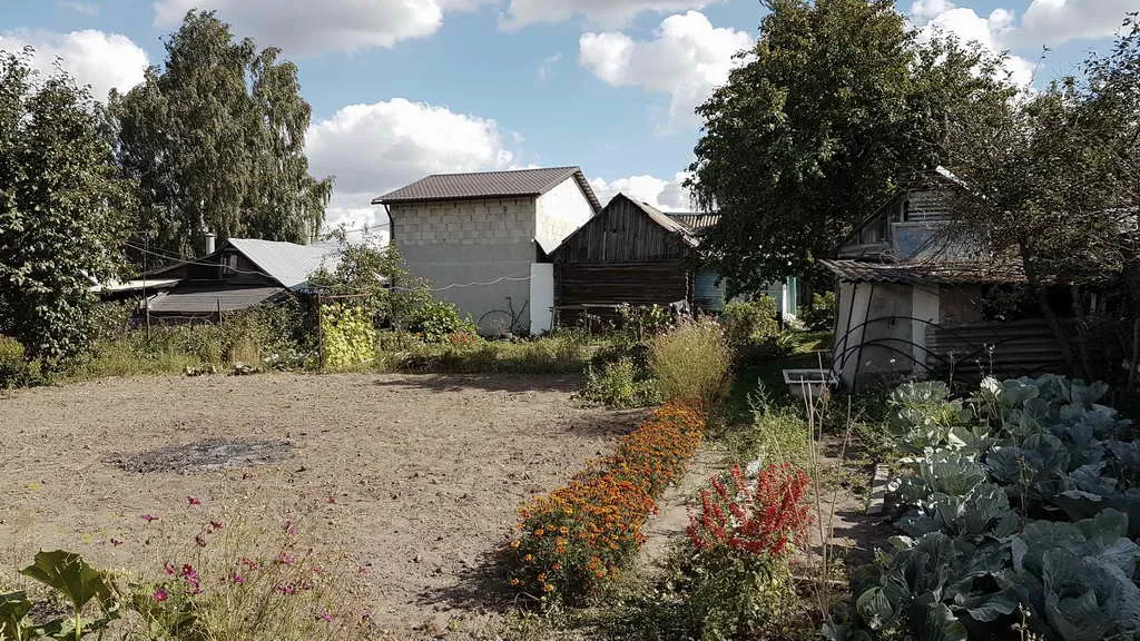 Дача в чаще, фото 16