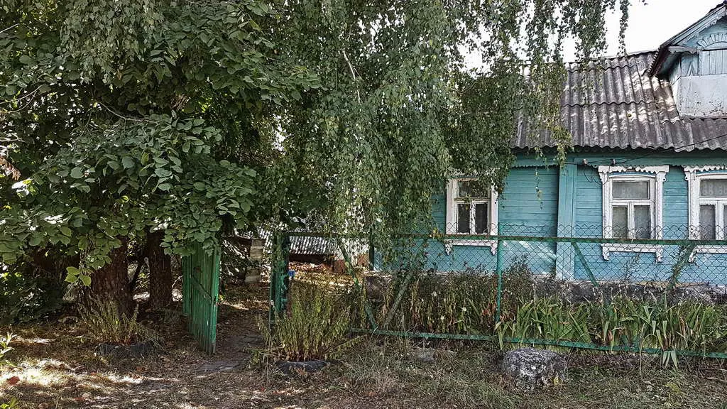 Дача в чаще, фото 2