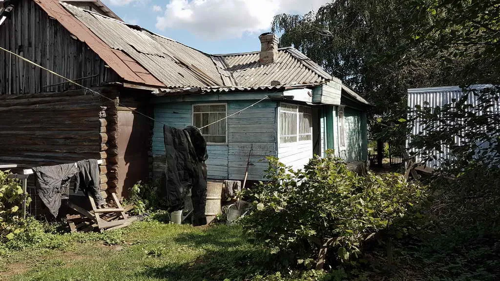 Дача в чаще, фото 20