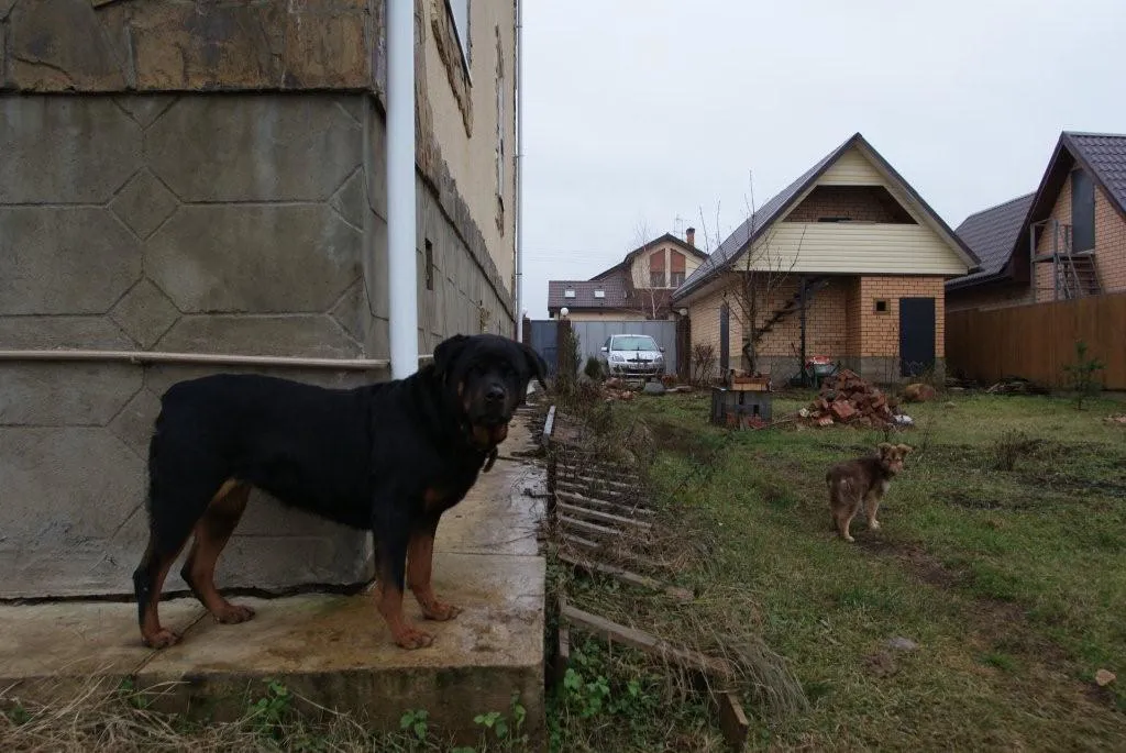 Коттедж в стиле рустик, фото 19