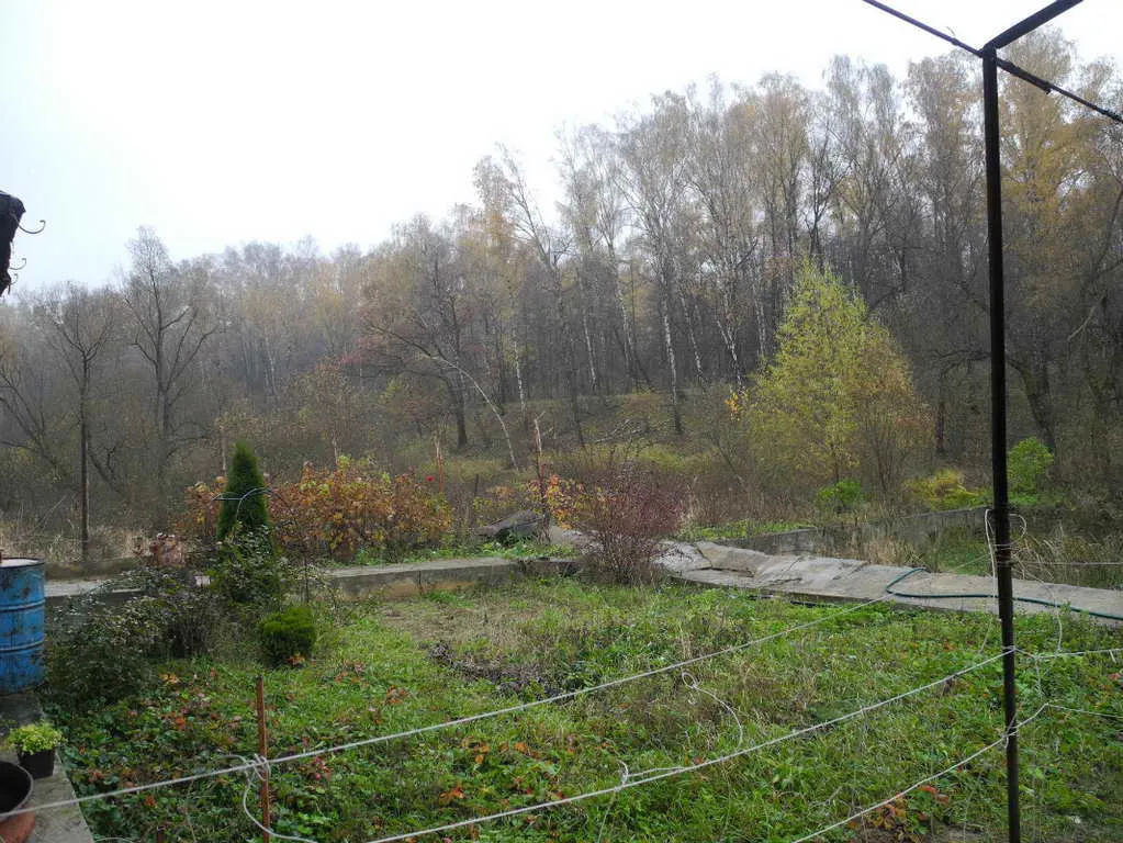 Недострой в лесу, фото 9