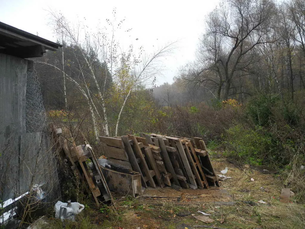 Недострой в лесу, фото 2