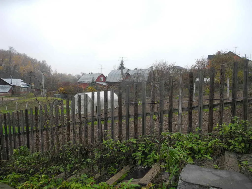 Грунтовка в лесу, фото 20