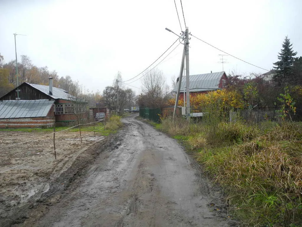 Грунтовка в лесу, фото 1