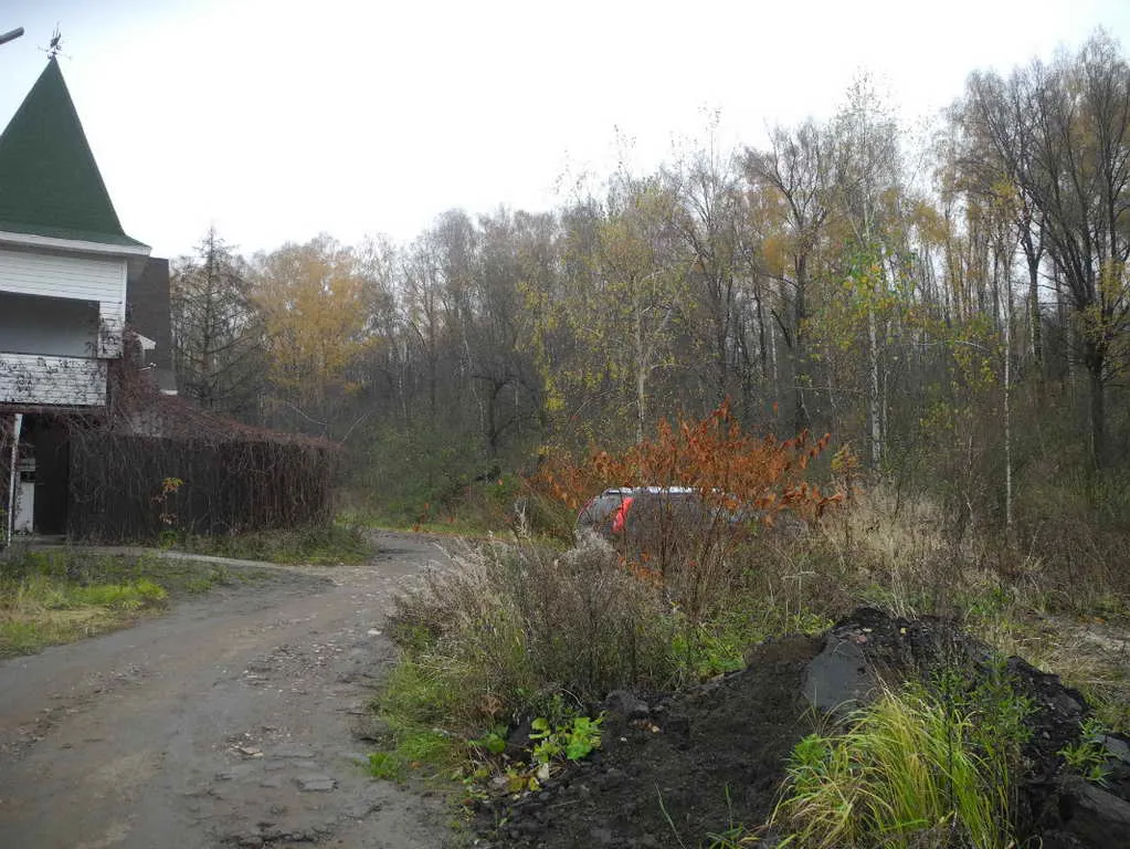 Грунтовка в лесу, фото 5