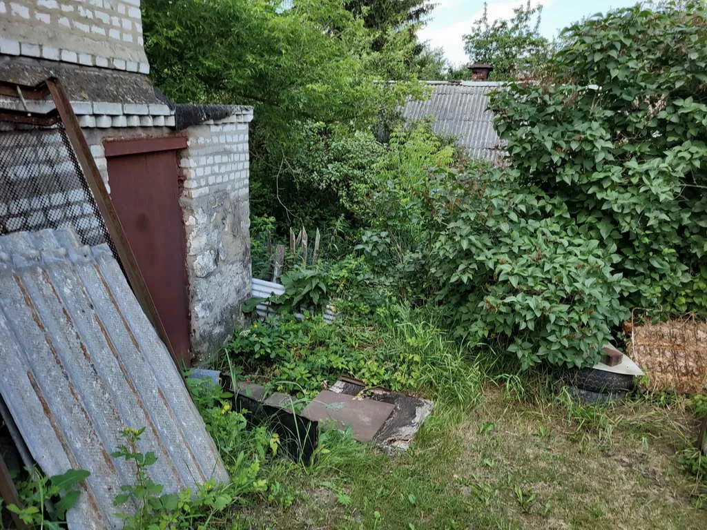 Резная изба с пристроем, фото 12