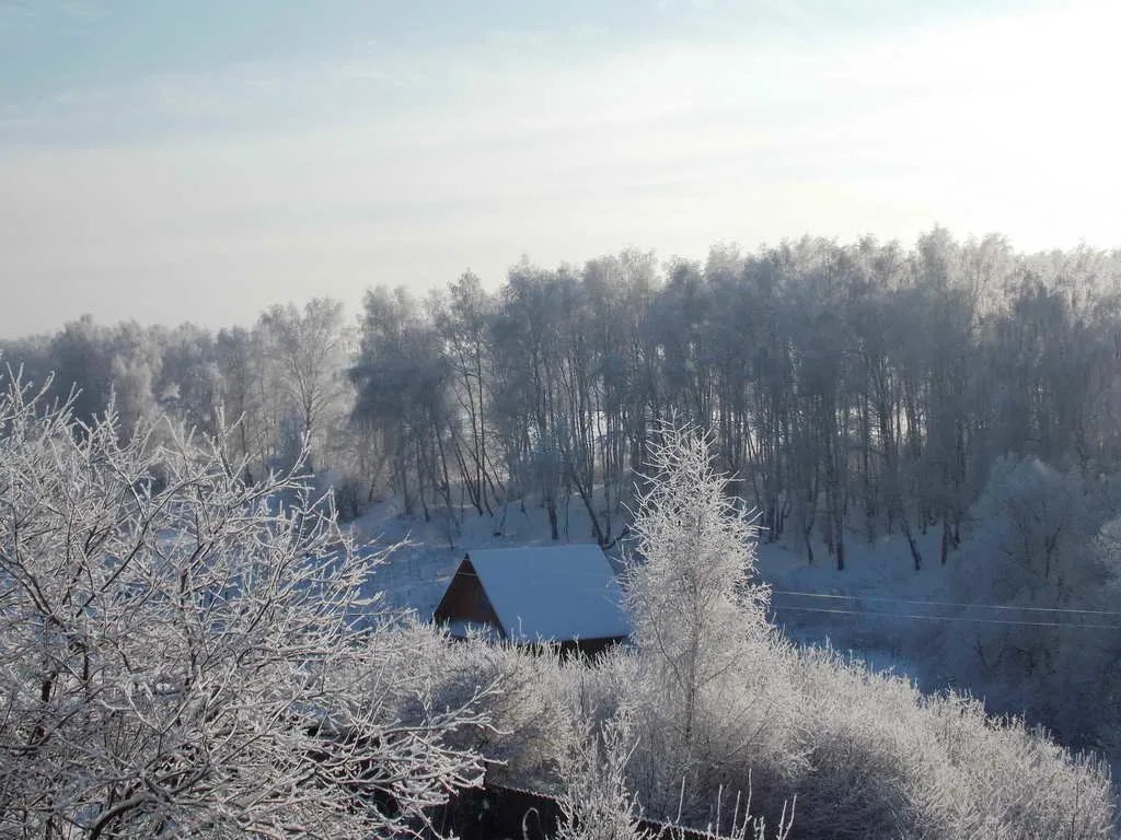 Большой дом с гаражом, фото 20