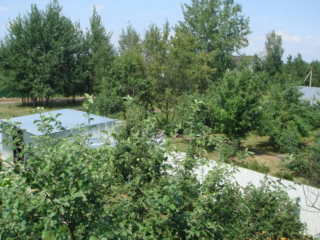 Дача с зелёным двором, фото 19
