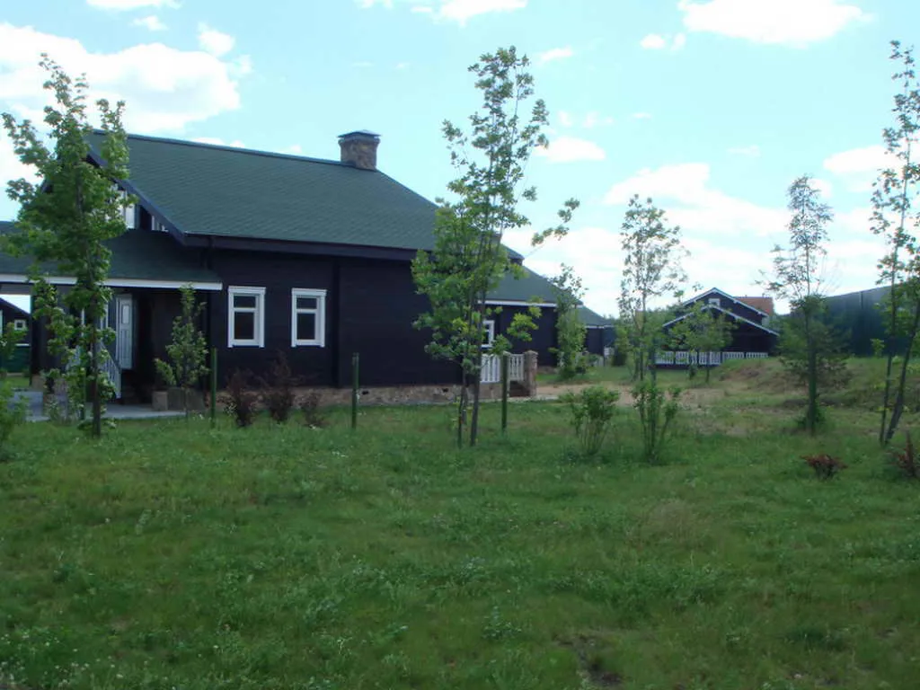 Загородный дом с зелёной крышей, фото 18