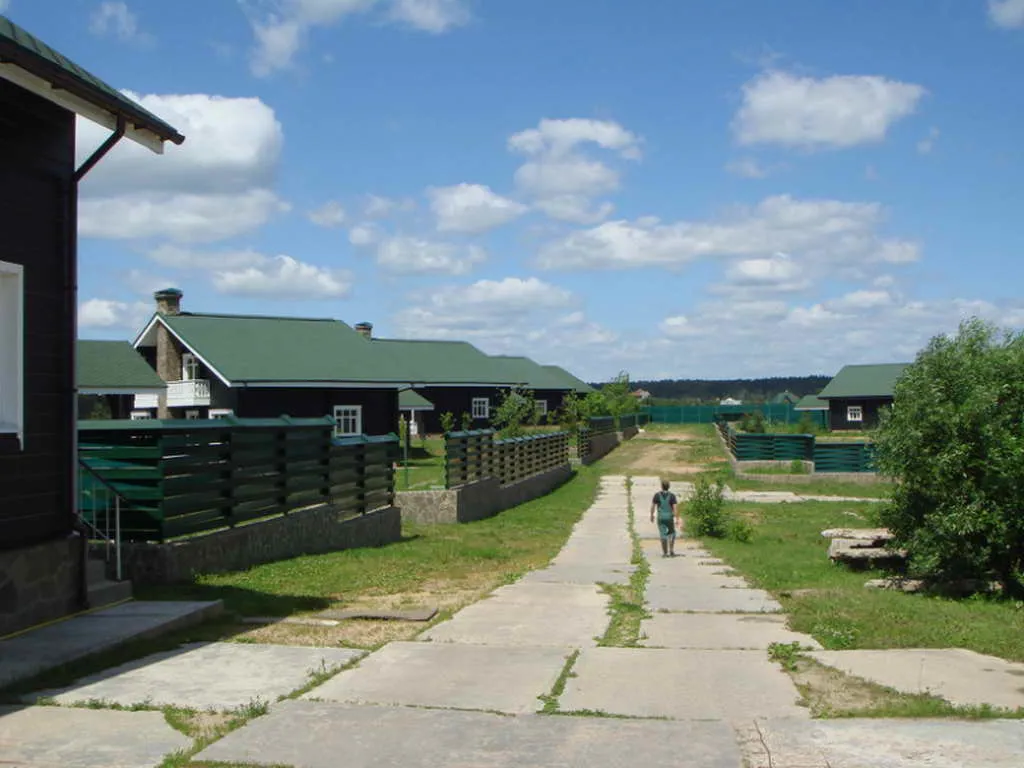 Загородный дом с зелёной крышей, фото 3