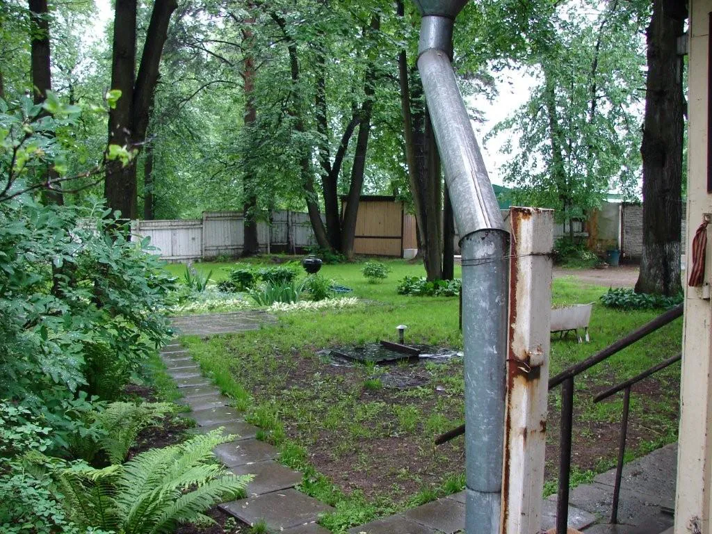Дача старых елей, фото 2