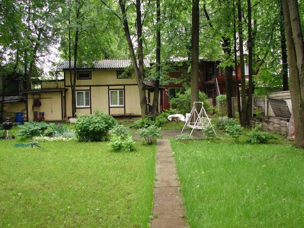 Дача старых елей, фото 4