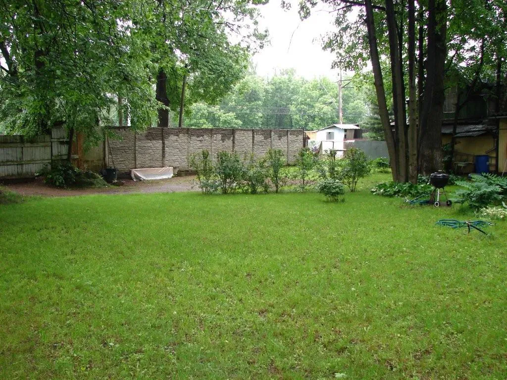 Дача старых елей, фото 5