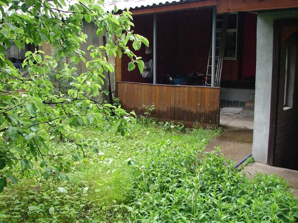 Дача в лесном окружении, фото 9