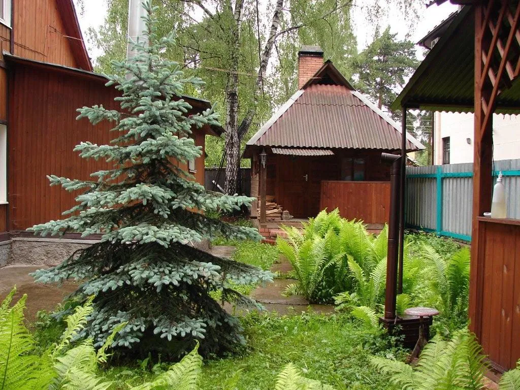 Дача в лесном окружении, фото 7