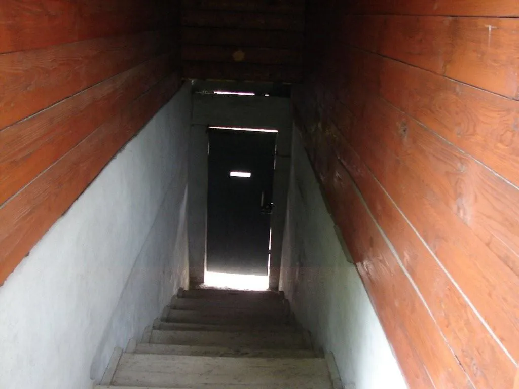 Дача в лесном окружении, фото 11