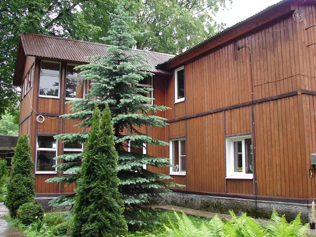 Дача в лесном окружении, фото 6