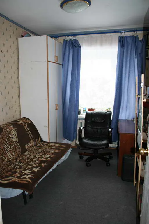 Большая дача в глубине леса, фото 16