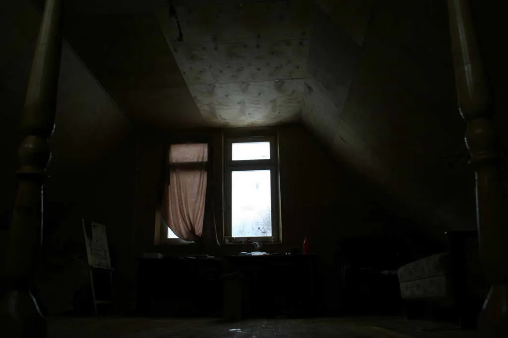 Большая дача в глубине леса, фото 9
