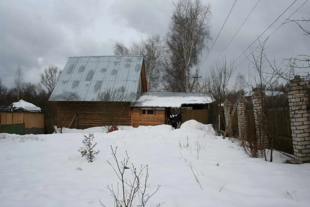 Большая дача в глубине леса, фото 3
