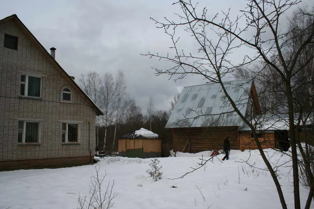Большая дача в глубине леса, фото 2