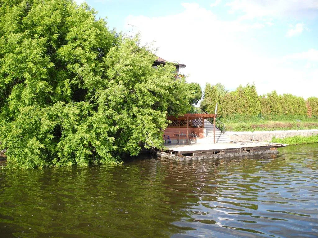 Дача у воды с террасой, фото 3