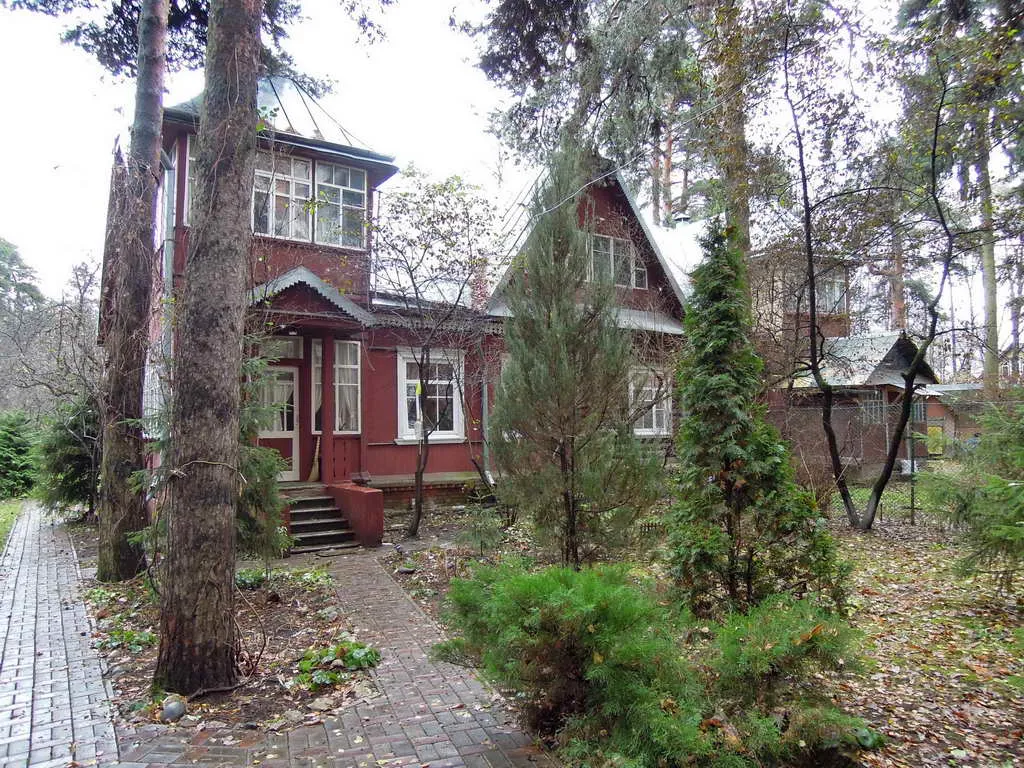 Вишнёвая лесная дача, фото 5