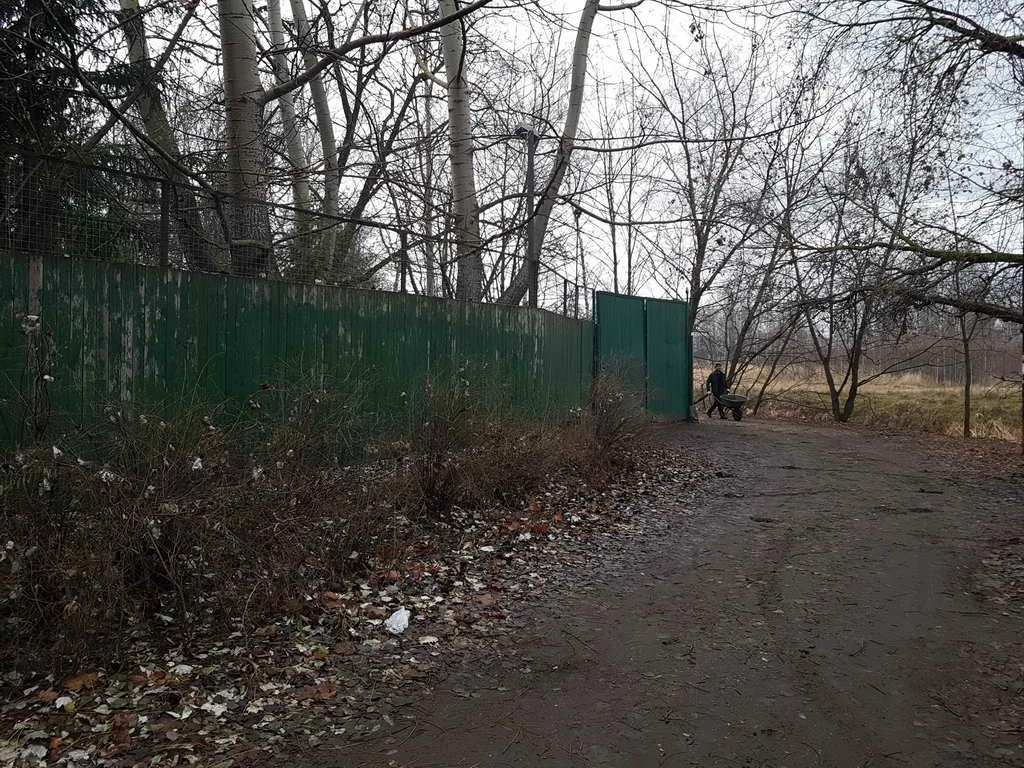 Дача у реки, фото 2