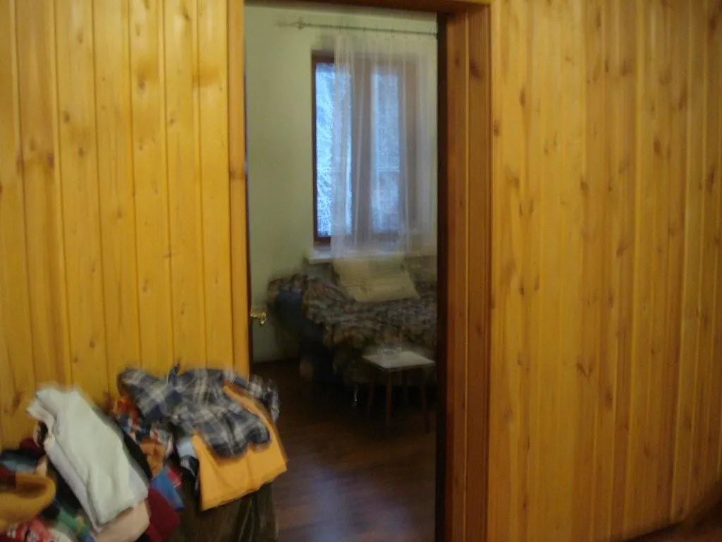 Большая дача в лесу, фото 20