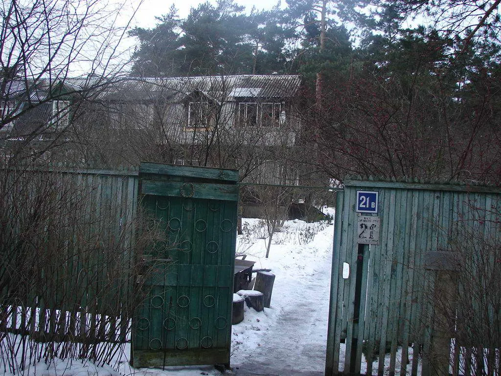 Дача с мятой крышей, фото 2