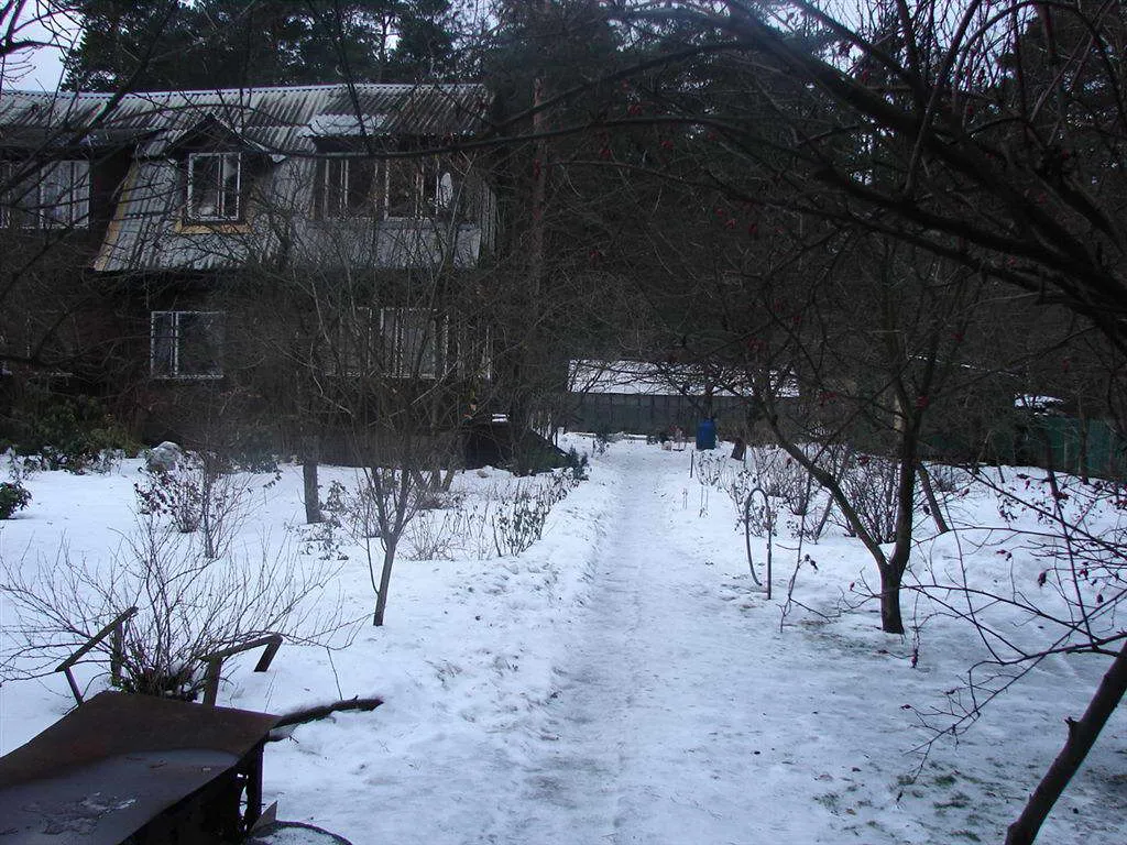 Дача с мятой крышей, фото 4