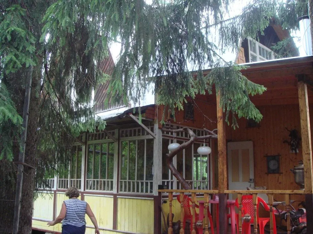 Лесная дача в зелени, фото 14