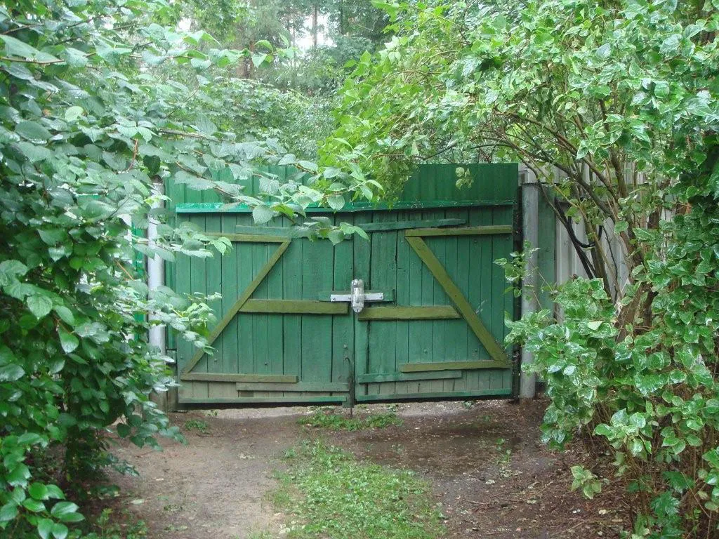 Лесная дача в зелени, фото 5