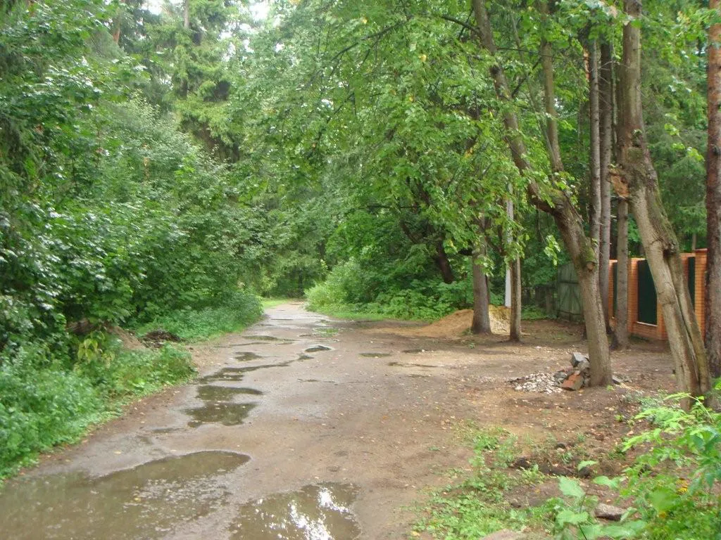 Лесная дача в зелени, фото 1