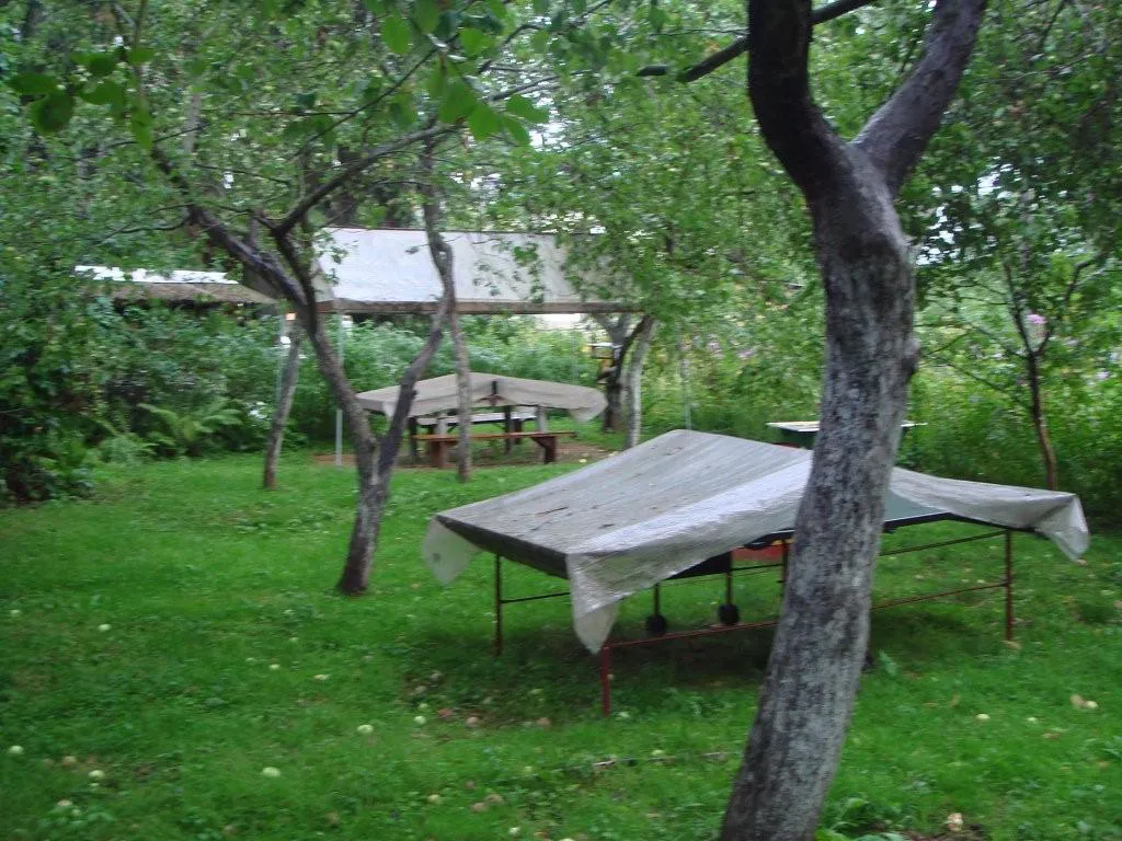 Лесная дача в зелени, фото 7