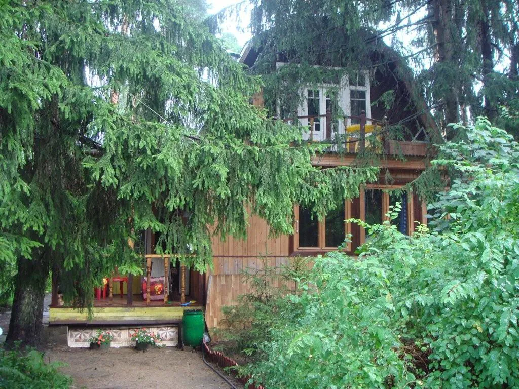 Лесная дача в зелени, фото 10