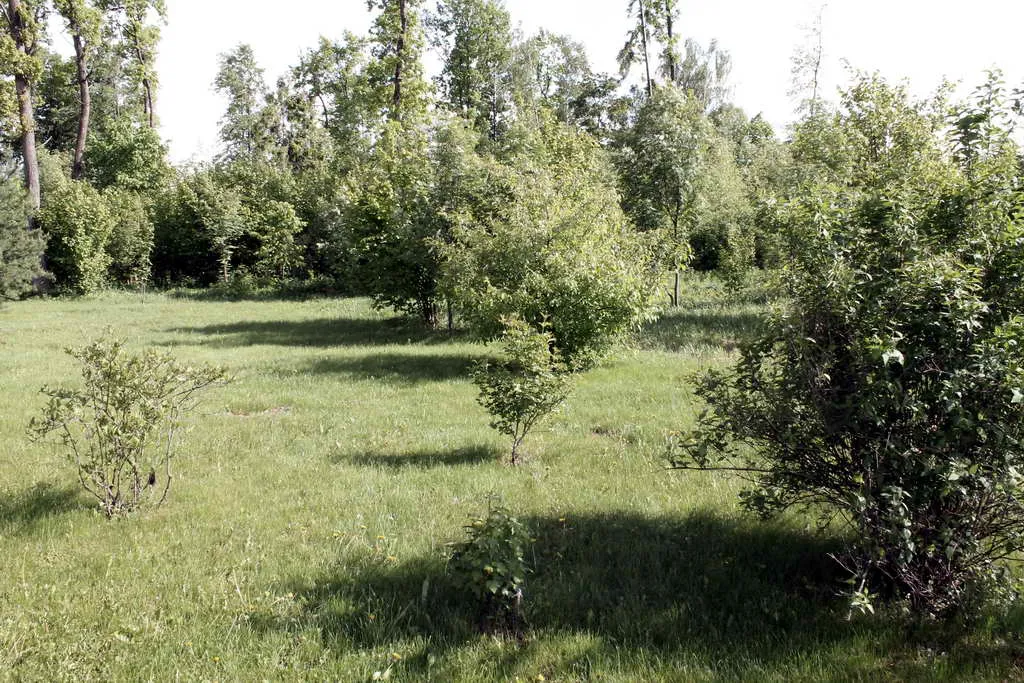 Дом с кругом, фото 15