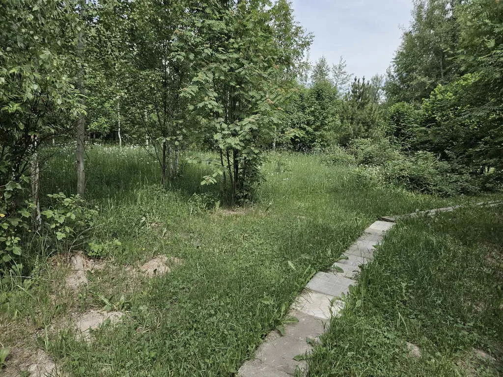 Синяя дача с беседкой, фото 4