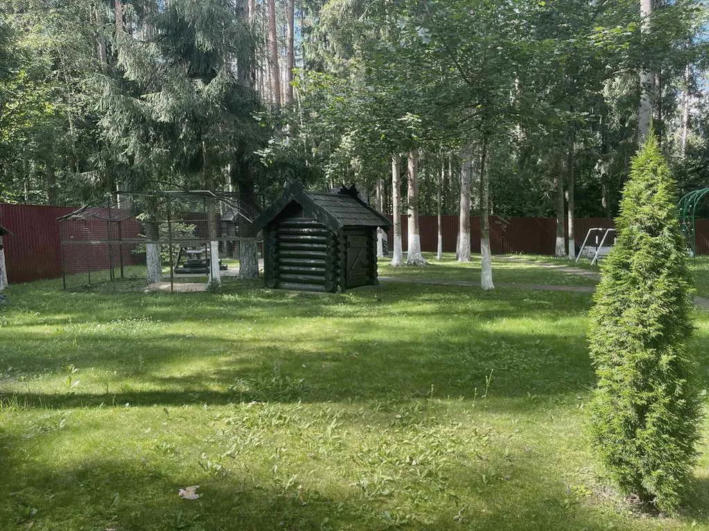 Деревянный дом в соснах, фото 9