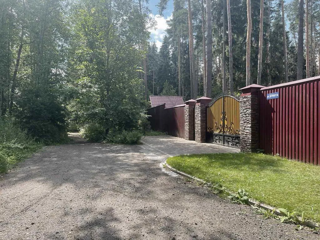 Деревянный дом в соснах, фото 1