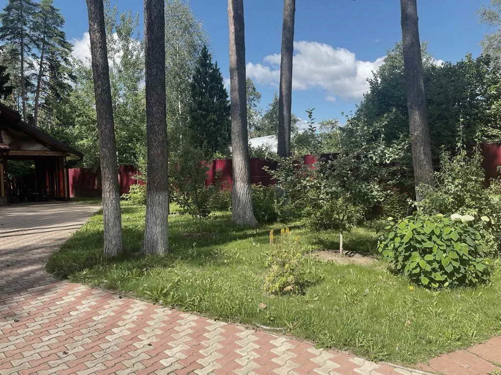 Деревянный дом в соснах, фото 7