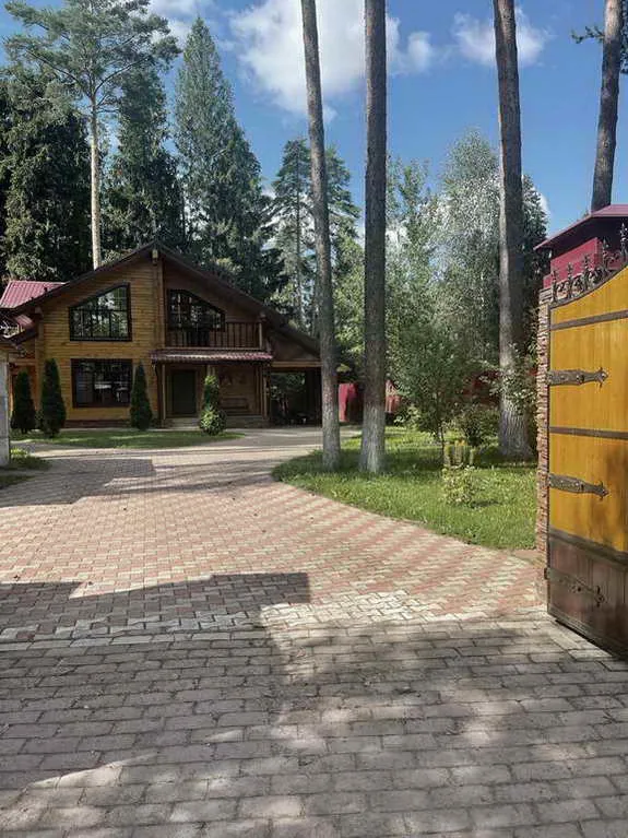 Деревянный дом в соснах, фото 3