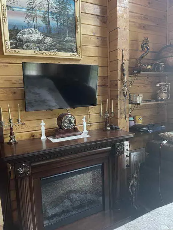 Деревянный дом в соснах, фото 22