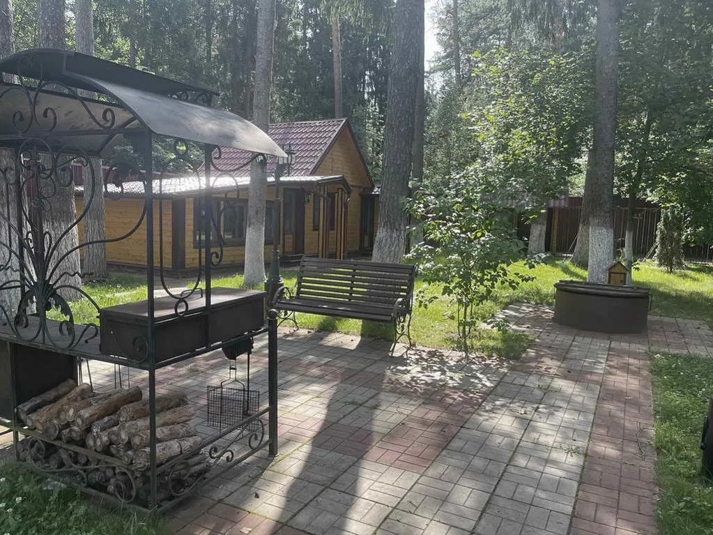 Деревянный дом в соснах, фото 5
