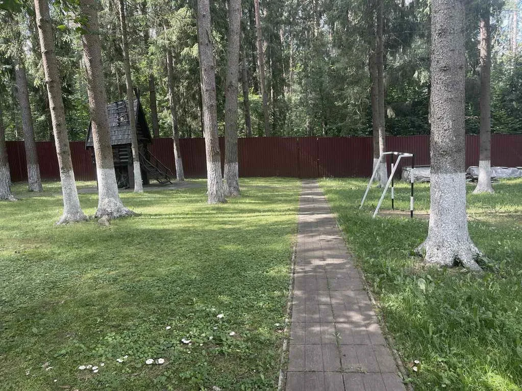 Деревянный дом в соснах, фото 13