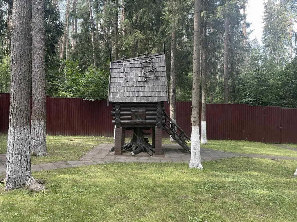 Деревянный дом в соснах, фото 17