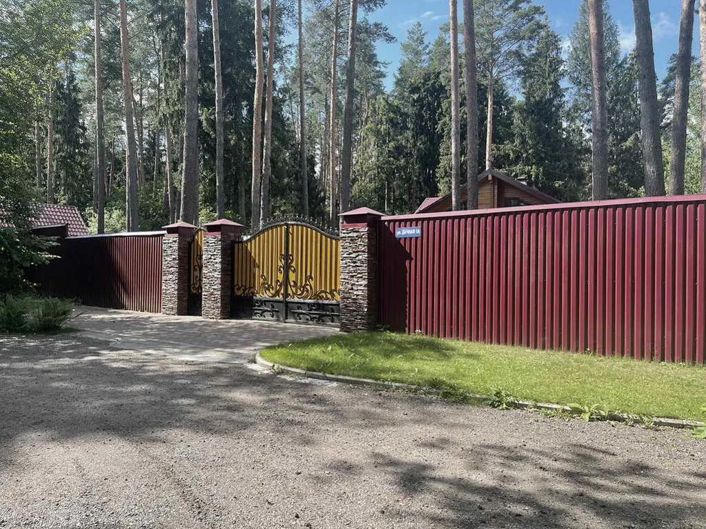 Деревянный дом в соснах, фото 2